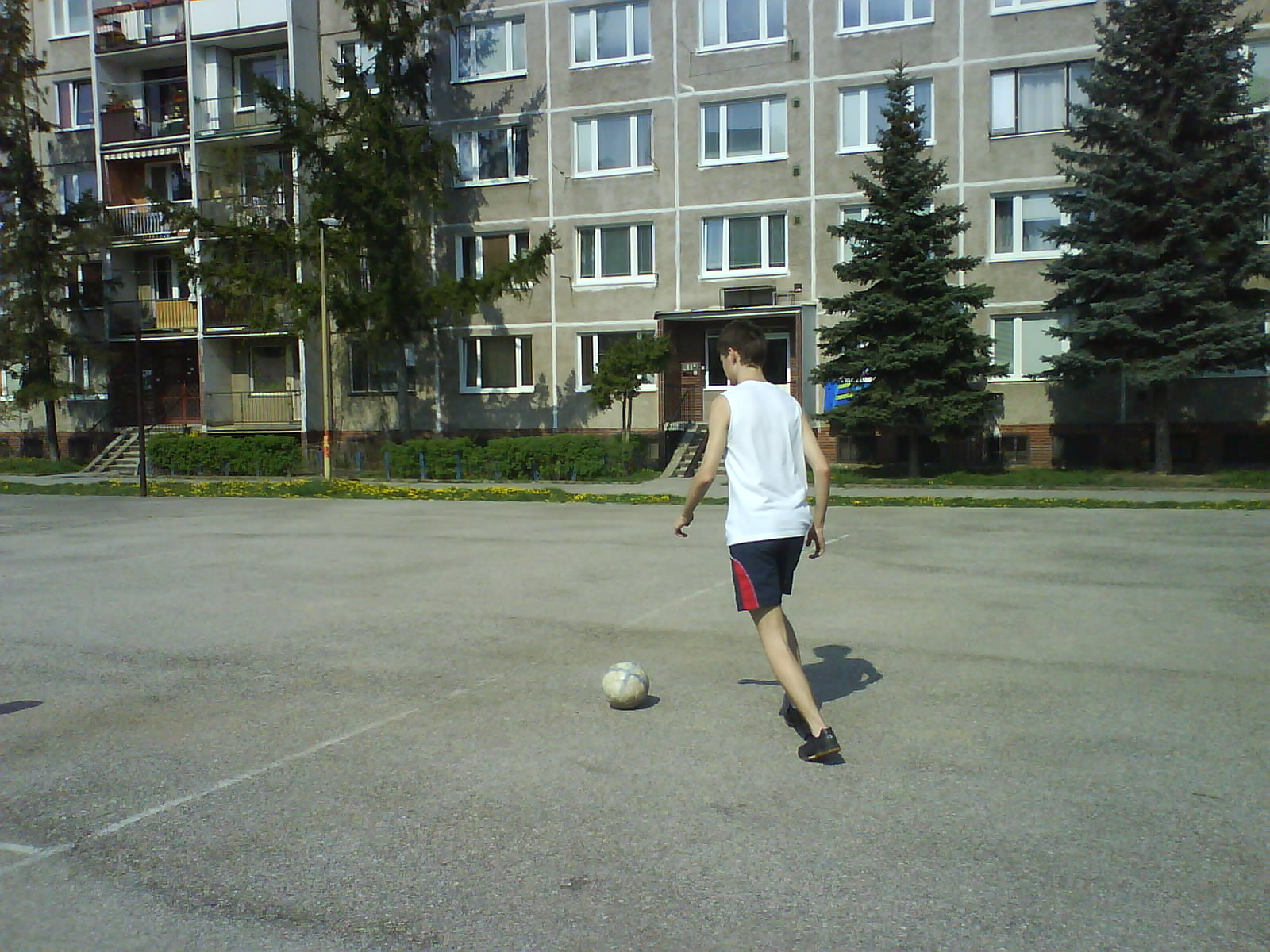 DSC00537.JPG