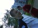 DSC00748.jpg