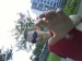 DSC00749.jpg